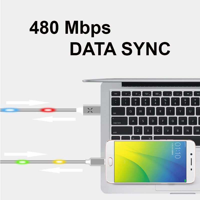 LED Voice Control USB-C Charging Cable